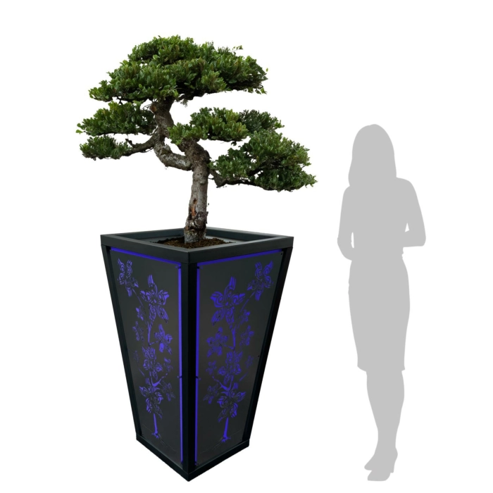 WJ Art Blumenkübel MAX - XXL Pflanzkübel - Rahmen Eisen Glimmer - Rückwand blau + Flower EG