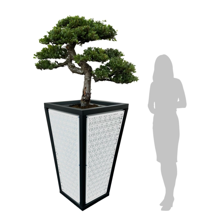 WJ Art Blumenkübel MAX - XXL Pflanzkübel - Rahmen Eisen Glimmer - Rückwand weiß +Circle-weiß