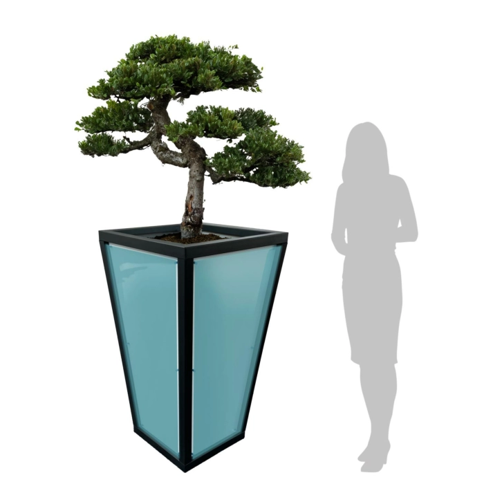 WJ Art Blumenkübel MAX - XXL Pflanzkübel - Rahmen Eisen Glimmer - Rückwand weiß +Transluzent-hellblau