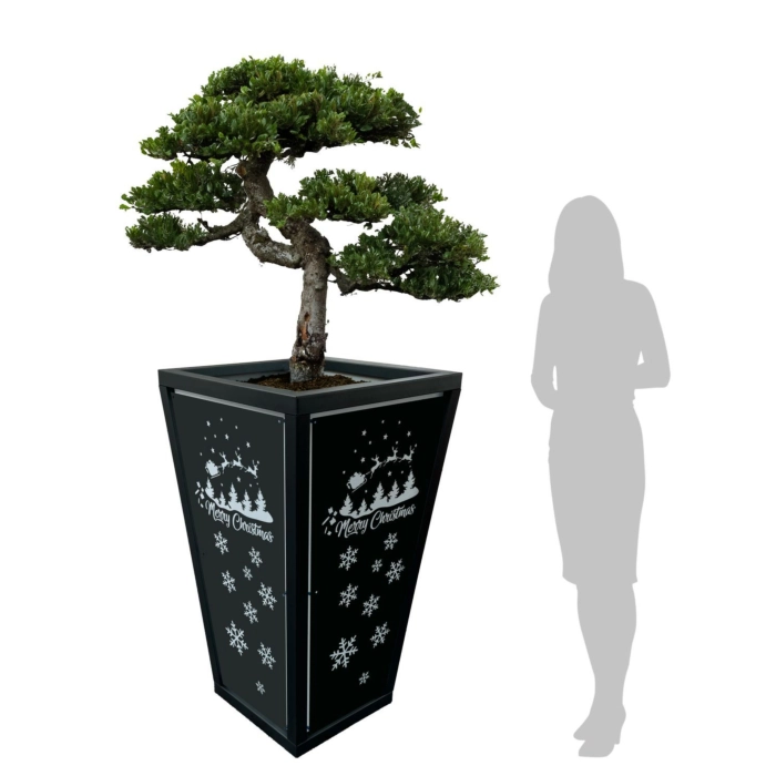 WJ Art Blumenkübel MAX - XXL Pflanzkübel - Rahmen Eisen Glimmer - Rückwand weiß +Christmas-EG