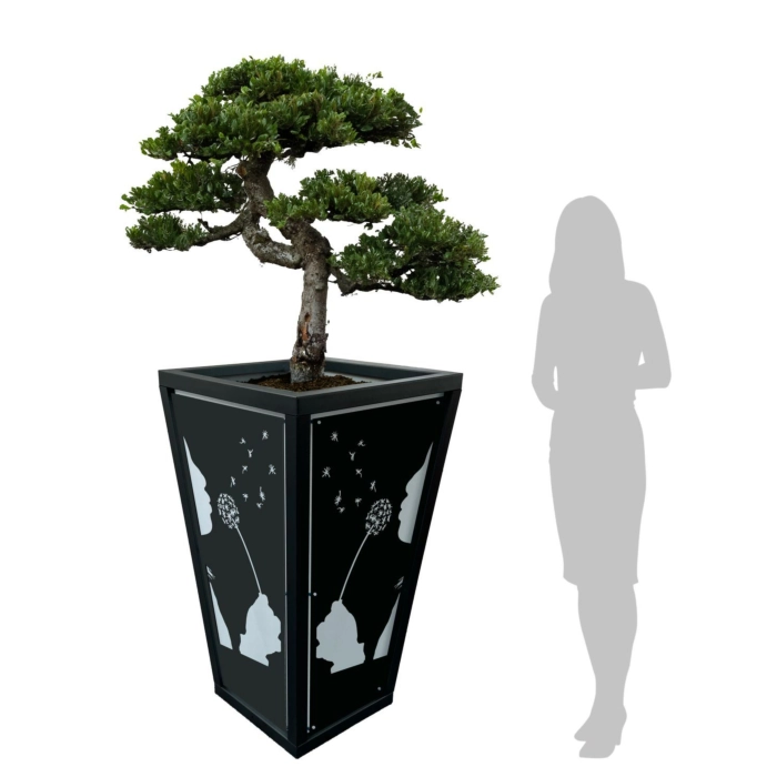 WJ Art Blumenkübel MAX - XXL Pflanzkübel - Rahmen Eisen Glimmer - Rückwand weiß +Dandelion-EG