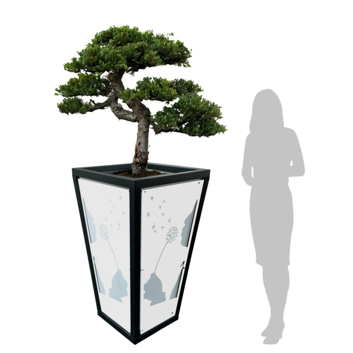 WJ Art Blumenkübel MAX - XXL Pflanzkübel - Rahmen Eisen Glimmer - Rückwand weiß +Dandelion-weiß