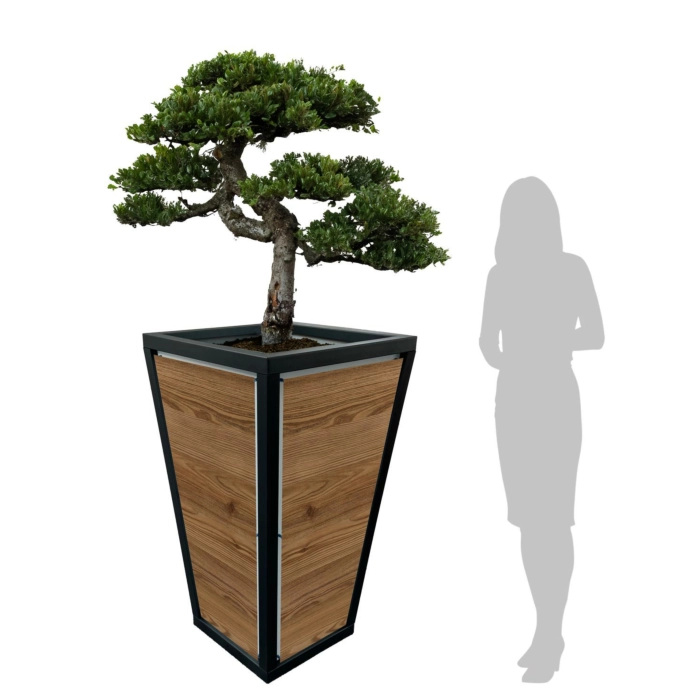 WJ Art Blumenkübel MAX - XXL Pflanzkübel - Rahmen Eisen Glimmer - Rückwand weiß +Creek-Lärche